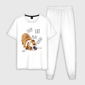 Мужская пижама хлопок с принтом Sleep Eat Play Repeat (Бульдог) в Санкт-Петербурге, 100% хлопок | брюки и футболка прямого кроя, без карманов, на брюках мягкая резинка на поясе и по низу штанин
 | Тематика изображения на принте: bulldog | dog | puppy | sleep eat play repeat | английский бульдог | бульдог | бульдог английский | веселая собака | веселый щенок | игривый щенок | мысли с | мысли щенка | рыжая собака | рыжий щенок | собачья жизнь