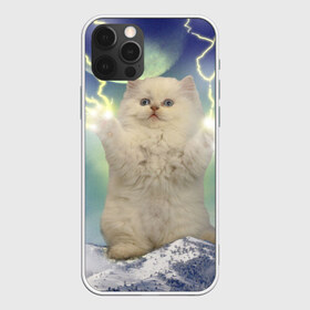 Чехол для iPhone 12 Pro Max с принтом Грозовой Котик в Санкт-Петербурге, Силикон |  | cat | cats | memes | гроза | грозовой | грозовой кошак | животные | кот | котенок | котик | котята | кошак | кошка | мем | мемы | молнии | молния | прикол | прикольные