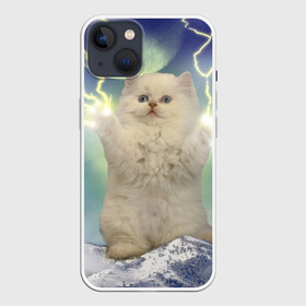 Чехол для iPhone 13 с принтом Грозовой Котик в Санкт-Петербурге,  |  | cat | cats | memes | гроза | грозовой | грозовой кошак | животные | кот | котенок | котик | котята | кошак | кошка | мем | мемы | молнии | молния | прикол | прикольные