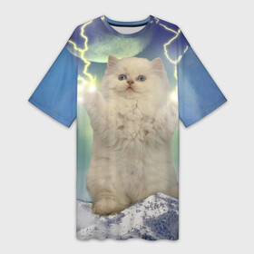 Платье-футболка 3D с принтом Грозовой Котик в Санкт-Петербурге,  |  | cat | cats | memes | гроза | грозовой | грозовой кошак | животные | кот | котенок | котик | котята | кошак | кошка | мем | мемы | молнии | молния | прикол | прикольные