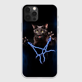 Чехол для iPhone 12 Pro Max с принтом Грозовой кошак(громовержец) в Санкт-Петербурге, Силикон |  | Тематика изображения на принте: грозовой | громовержец | кот | кошак | молнии | разряды | черный