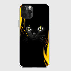 Чехол для iPhone 12 Pro Max с принтом Грозовой кошак в Санкт-Петербурге, Силикон |  | Тематика изображения на принте: глаза | грозовой | кот | кошак | молнии | пламя | разряды | черный
