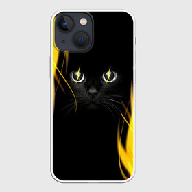 Чехол для iPhone 13 mini с принтом Грозовой кошак в Санкт-Петербурге,  |  | глаза | грозовой | кот | кошак | молнии | пламя | разряды | черный