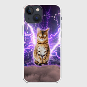 Чехол для iPhone 13 mini с принтом Котушка Теслы в Санкт-Петербурге,  |  | cat | lightning | lightning cat | tesla | арт с котом | грозовой кошак | катушка теслы | кот | кот мем | котейка | котушка теслы | котяра | кошак | кошка | мем с котом | молнии | тесла