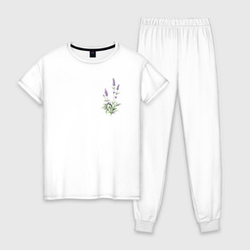 Женская пижама хлопок с принтом Lavanda в Санкт-Петербурге, 100% хлопок | брюки и футболка прямого кроя, без карманов, на брюках мягкая резинка на поясе и по низу штанин | лаванда | лавандовые цветы | милота | нежность | цветочки | цветы