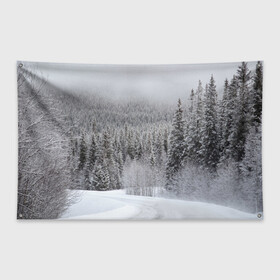 Флаг-баннер с принтом Зимняя природа в Санкт-Петербурге, 100% полиэстер | размер 67 х 109 см, плотность ткани — 95 г/м2; по краям флага есть четыре люверса для крепления | winter | белый | зима | искусство | лес | природа | снег | снежная | текстура | текстуры