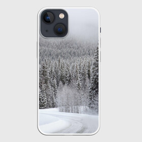 Чехол для iPhone 13 mini с принтом Зимняя природа в Санкт-Петербурге,  |  | winter | белый | зима | искусство | лес | природа | снег | снежная | текстура | текстуры