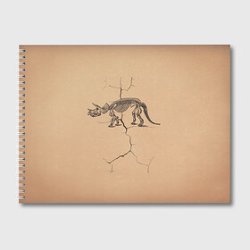 Альбом для рисования с принтом Triceratops skeleton в Санкт-Петербурге, 100% бумага
 | матовая бумага, плотность 200 мг. | dinosaur | extinct | primal | skeleton | triceratops | вымерший | динозавр | первобытный | скелет | трицератопс