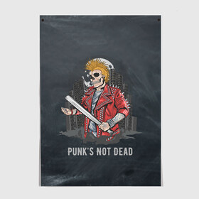 Постер с принтом Punk’s Not Dead в Санкт-Петербурге, 100% бумага
 | бумага, плотность 150 мг. Матовая, но за счет высокого коэффициента гладкости имеет небольшой блеск и дает на свету блики, но в отличии от глянцевой бумаги не покрыта лаком | punk | punks | punk’s not dead | rock | rocker | метал | металл | панк | панки | рок | рокер | тяжелая музыка