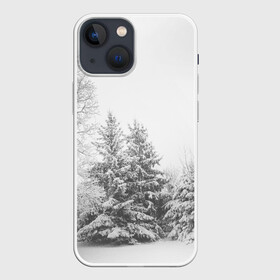 Чехол для iPhone 13 mini с принтом Winter Storm в Санкт-Петербурге,  |  | winter | белый | деревья | ели | ель | заснеженный | зима | зимний | искусство | лес | природа | снег | снежная | текстура | текстуры | шторм