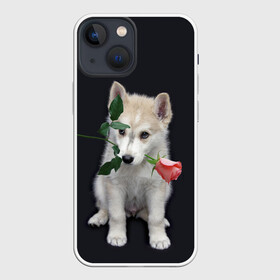 Чехол для iPhone 13 mini с принтом Щенок в подарок в Санкт-Петербурге,  |  | 8 марта щенок | husky | siberian husky | белый щенок | лайка | собака на день рождения | собака с розой | собака с цветком | хаски | щенок | щенок 8 марта | щенок лайки | щенок на 8 марта | щенок на день рождения