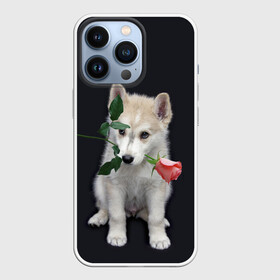 Чехол для iPhone 13 Pro с принтом Щенок в подарок в Санкт-Петербурге,  |  | 8 марта щенок | husky | siberian husky | белый щенок | лайка | собака на день рождения | собака с розой | собака с цветком | хаски | щенок | щенок 8 марта | щенок лайки | щенок на 8 марта | щенок на день рождения