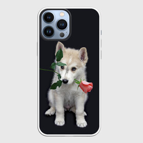 Чехол для iPhone 13 Pro Max с принтом Щенок в подарок в Санкт-Петербурге,  |  | 8 марта щенок | husky | siberian husky | белый щенок | лайка | собака на день рождения | собака с розой | собака с цветком | хаски | щенок | щенок 8 марта | щенок лайки | щенок на 8 марта | щенок на день рождения