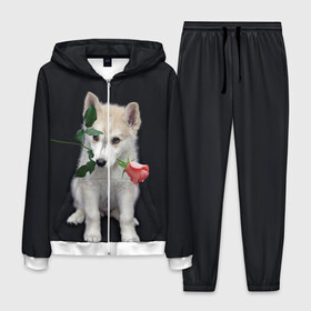 Мужской костюм 3D с принтом Щенок в подарок в Санкт-Петербурге, 100% полиэстер | Манжеты и пояс оформлены тканевой резинкой, двухслойный капюшон со шнурком для регулировки, карманы спереди | Тематика изображения на принте: 8 марта щенок | husky | siberian husky | белый щенок | лайка | собака на день рождения | собака с розой | собака с цветком | хаски | щенок | щенок 8 марта | щенок лайки | щенок на 8 марта | щенок на день рождения
