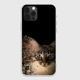 Чехол для iPhone 12 Pro с принтом Disintegrating Cat в Санкт-Петербурге, силикон | область печати: задняя сторона чехла, без боковых панелей | Тематика изображения на принте: cat | азулес | атомный кот | голубоглазая кошка | голубоглазый кот | голубоглазый котик | кот | кот к | кот распадающийся на атомы | кот с голубыми глазами | котик | котэ | кошак | кошачий портрет