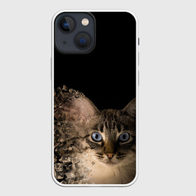 Чехол для iPhone 13 mini с принтом Disintegrating Cat в Санкт-Петербурге,  |  | Тематика изображения на принте: cat | азулес | атомный кот | голубоглазая кошка | голубоглазый кот | голубоглазый котик | кот | кот к | кот распадающийся на атомы | кот с голубыми глазами | котик | котэ | кошак | кошачий портрет