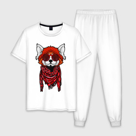 Мужская пижама хлопок с принтом Красная панда в Санкт-Петербурге, 100% хлопок | брюки и футболка прямого кроя, без карманов, на брюках мягкая резинка на поясе и по низу штанин
 | Тематика изображения на принте: cool | cute | fashion | panda | red | в очках | забавная | красная | крутая | милая | модная | очки | панда | пандарен | пандочка | пандочки | панды | смешная | солнечные очки | улыбается