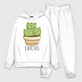 Мужской костюм хлопок OVERSIZE с принтом Catctus в Санкт-Петербурге,  |  | art | cactus | cats | kittens | pot | арт | горшок | кактус | коты | котята | кошки