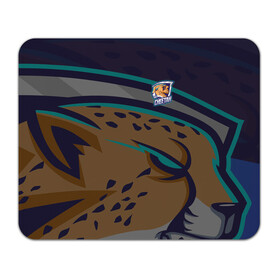 Коврик для мышки прямоугольный с принтом Форма Cheetah в Санкт-Петербурге, натуральный каучук | размер 230 х 185 мм; запечатка лицевой стороны | design | logo | mascot | баскетбол | гепард | герои | животное | звери | зверь | киберспорт | кошка | охота | рысь | спортивная | стиль | талисман | фитнес | форма | футбол | хищник | яркие