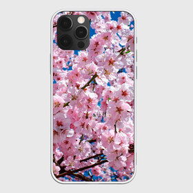 Чехол для iPhone 12 Pro Max с принтом Цветущая Сакура в Санкт-Петербурге, Силикон |  | Тематика изображения на принте: 8 марта | весна | вишня | женский день | лепестки | март | поздравления | праздник 8 марта | ромашки | сакура | цветок | цветочки | цветы | япония