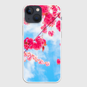 Чехол для iPhone 13 mini с принтом Цветение Вишни в Санкт-Петербурге,  |  | flowers | pink | бутоны | весна | вишня | дерево | листья | небо | облака | природа | розовый | сакура | солнце | цветение | цветочки | цветы