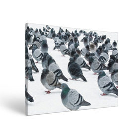 Холст прямоугольный с принтом Голуби в Санкт-Петербурге, 100% ПВХ |  | bird | pigeon | russia | snow | winter | голубь | животные | зима | курлык | птицы | россия | снег | текстура | фон | фотография
