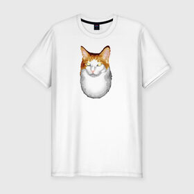 Мужская футболка премиум с принтом ГНЕГ в Санкт-Петербурге, 92% хлопок, 8% лайкра | приталенный силуэт, круглый вырез ворота, длина до линии бедра, короткий рукав | гнег | ирония | котэ | мем | мемы про котов | мета | постирония | прикол | ржака