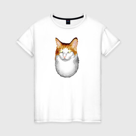 Женская футболка хлопок с принтом ГНЕГ в Санкт-Петербурге, 100% хлопок | прямой крой, круглый вырез горловины, длина до линии бедер, слегка спущенное плечо | гнег | ирония | котэ | мем | мемы про котов | мета | постирония | прикол | ржака