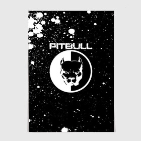Постер с принтом Pitbull в Санкт-Петербурге, 100% бумага
 | бумага, плотность 150 мг. Матовая, но за счет высокого коэффициента гладкости имеет небольшой блеск и дает на свету блики, но в отличии от глянцевой бумаги не покрыта лаком | 