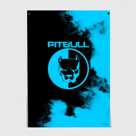 Постер с принтом Pitbull в Санкт-Петербурге, 100% бумага
 | бумага, плотность 150 мг. Матовая, но за счет высокого коэффициента гладкости имеет небольшой блеск и дает на свету блики, но в отличии от глянцевой бумаги не покрыта лаком | 
