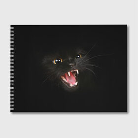Альбом для рисования с принтом Злой Котик в Санкт-Петербурге, 100% бумага
 | матовая бумага, плотность 200 мг. | Тематика изображения на принте: angry | animal | animals | beast | black | cat | kitten | британец | британка | животное | животные | зверек | зверь | злая | злой | кот | котейка | котенок | котэ | кошка | кошки | черная