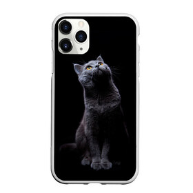 Чехол для iPhone 11 Pro Max матовый с принтом Кот Британец в Санкт-Петербурге, Силикон |  | animal | animals | beast | black | cat | kitten | британец | британка | животное | животные | зверек | зверь | кот | котейка | котенок | котики | котэ | кошка | кошки | черная