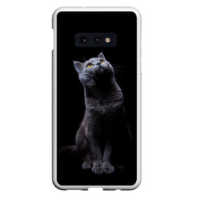 Чехол для Samsung S10E с принтом Кот Британец в Санкт-Петербурге, Силикон | Область печати: задняя сторона чехла, без боковых панелей | animal | animals | beast | black | cat | kitten | британец | британка | животное | животные | зверек | зверь | кот | котейка | котенок | котики | котэ | кошка | кошки | черная