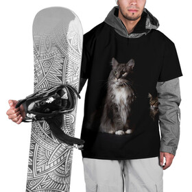 Накидка на куртку 3D с принтом Котики в Санкт-Петербурге, 100% полиэстер |  | animal | animals | beast | black | cat | kitten | животное | животные | зверек | зверь | кот | котейка | котенок | котики | котэ | кошка | кошки | мейн кун | черная