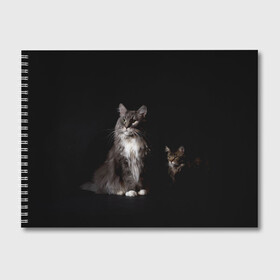 Альбом для рисования с принтом Котики в Санкт-Петербурге, 100% бумага
 | матовая бумага, плотность 200 мг. | animal | animals | beast | black | cat | kitten | животное | животные | зверек | зверь | кот | котейка | котенок | котики | котэ | кошка | кошки | мейн кун | черная