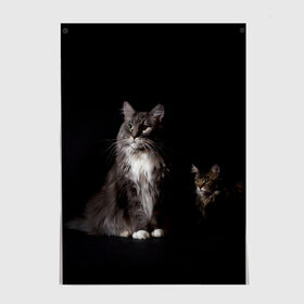 Постер с принтом Котики в Санкт-Петербурге, 100% бумага
 | бумага, плотность 150 мг. Матовая, но за счет высокого коэффициента гладкости имеет небольшой блеск и дает на свету блики, но в отличии от глянцевой бумаги не покрыта лаком | animal | animals | beast | black | cat | kitten | животное | животные | зверек | зверь | кот | котейка | котенок | котики | котэ | кошка | кошки | мейн кун | черная