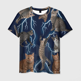 Мужская футболка 3D с принтом Коты в Санкт-Петербурге, 100% полиэфир | прямой крой, круглый вырез горловины, длина до линии бедер | город | животное | забавный | кот | молния