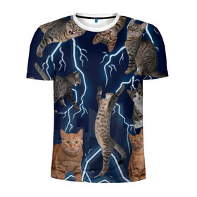 Мужская футболка 3D спортивная с принтом Коты в Санкт-Петербурге, 100% полиэстер с улучшенными характеристиками | приталенный силуэт, круглая горловина, широкие плечи, сужается к линии бедра | город | животное | забавный | кот | молния