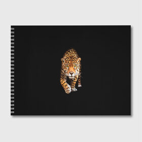 Альбом для рисования с принтом Ягуар в Санкт-Петербурге, 100% бумага
 | матовая бумага, плотность 200 мг. | animal | art | black | cat | hunter | jaguar | leopard | арт | гепард | голова | животное | животные | зверь | клыки | кот | кошка | леопард | охотник | темнота | хищник | ягуар