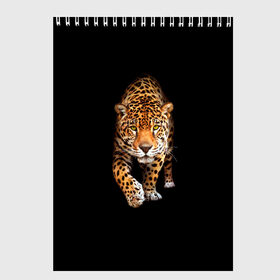 Скетчбук с принтом Ягуар в Санкт-Петербурге, 100% бумага
 | 48 листов, плотность листов — 100 г/м2, плотность картонной обложки — 250 г/м2. Листы скреплены сверху удобной пружинной спиралью | Тематика изображения на принте: animal | art | black | cat | hunter | jaguar | leopard | арт | гепард | голова | животное | животные | зверь | клыки | кот | кошка | леопард | охотник | темнота | хищник | ягуар