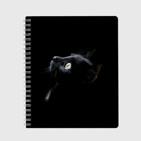Тетрадь с принтом Кот в Санкт-Петербурге, 100% бумага | 48 листов, плотность листов — 60 г/м2, плотность картонной обложки — 250 г/м2. Листы скреплены сбоку удобной пружинной спиралью. Уголки страниц и обложки скругленные. Цвет линий — светло-серый
 | Тематика изображения на принте: animal | animals | beast | black | cat | kitten | британец | британка | животное | животные | зверек | зверь | кот | котейка | котенок | котики | котэ | кошка | кошки | черная