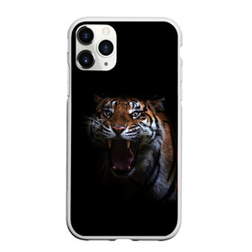 Чехол для iPhone 11 Pro Max матовый с принтом Тигр в Санкт-Петербурге, Силикон |  | animal | animals | beast | black | cat | kitten | tiger | животное | животные | зверек | зверь | кот | котики | кошка | кошки | тигр | черная
