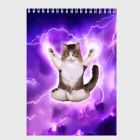 Скетчбук с принтом Повелитель Молний Котэ в Санкт-Петербурге, 100% бумага
 | 48 листов, плотность листов — 100 г/м2, плотность картонной обложки — 250 г/м2. Листы скреплены сверху удобной пружинной спиралью | cat | cats | kitten | kitty | memes | nice | punk | rain | yoga | грозы | дождь | йога | кот | котик | котики | котэ | кошка | медитация | мем | мемы | милая | милый | молнии | панк | приколы | рок | рэп | трэш