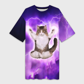 Платье-футболка 3D с принтом Повелитель Молний | Котэ в Санкт-Петербурге,  |  | cat | cats | kitten | kitty | memes | nice | punk | rain | yoga | грозы | дождь | йога | кот | котик | котики | котэ | кошка | медитация | мем | мемы | милая | милый | молнии | панк | приколы | рок | рэп | трэш
