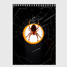 Скетчбук с принтом Spider в Санкт-Петербурге, 100% бумага
 | 48 листов, плотность листов — 100 г/м2, плотность картонной обложки — 250 г/м2. Листы скреплены сверху удобной пружинной спиралью | animal | hunter | spider | животное | животные | лапы | охота | охотник | паук | паутина | хищник