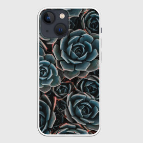 Чехол для iPhone 13 mini с принтом ЦВЕТЫ РОЗЫ | STEEL ROSES в Санкт-Петербурге,  |  | bloom | blossom | flos | flowers | steel roses | красота | лепестки | растения | цветки | цветы