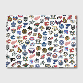 Альбом для рисования с принтом Логотипы НХЛ в Санкт-Петербурге, 100% бумага
 | матовая бумага, плотность 200 мг. | Тематика изображения на принте: capitals | nhl | penguins | pittsburgh | washington | блюз | бостон | брюинз | вашингтон | детройт | кэпиталз | логотипы нхл | нью йорк | пингвинз | питтсбург | рейнджерс | сан хосе шаркс | сент луис | тампа бэй