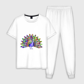 Мужская пижама хлопок с принтом Павлин в Санкт-Петербурге, 100% хлопок | брюки и футболка прямого кроя, без карманов, на брюках мягкая резинка на поясе и по низу штанин
 | Тематика изображения на принте: peacock | животные | павлин | птица