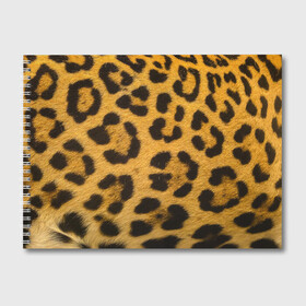 Альбом для рисования с принтом Леопард в Санкт-Петербурге, 100% бумага
 | матовая бумага, плотность 200 мг. | abstract | animal | cat | leopard | texture | абстракция | гепард | животное | животные | зверь | кот | кошка | леопард | охотник | паттерн | полигоны | текстура | узор | хищник