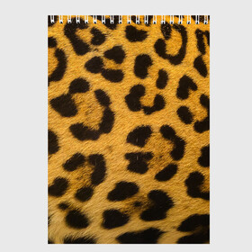 Скетчбук с принтом Леопард в Санкт-Петербурге, 100% бумага
 | 48 листов, плотность листов — 100 г/м2, плотность картонной обложки — 250 г/м2. Листы скреплены сверху удобной пружинной спиралью | abstract | animal | cat | leopard | texture | абстракция | гепард | животное | животные | зверь | кот | кошка | леопард | охотник | паттерн | полигоны | текстура | узор | хищник